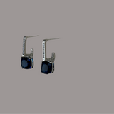 Silver Plated With Navy Blue Stone Earring